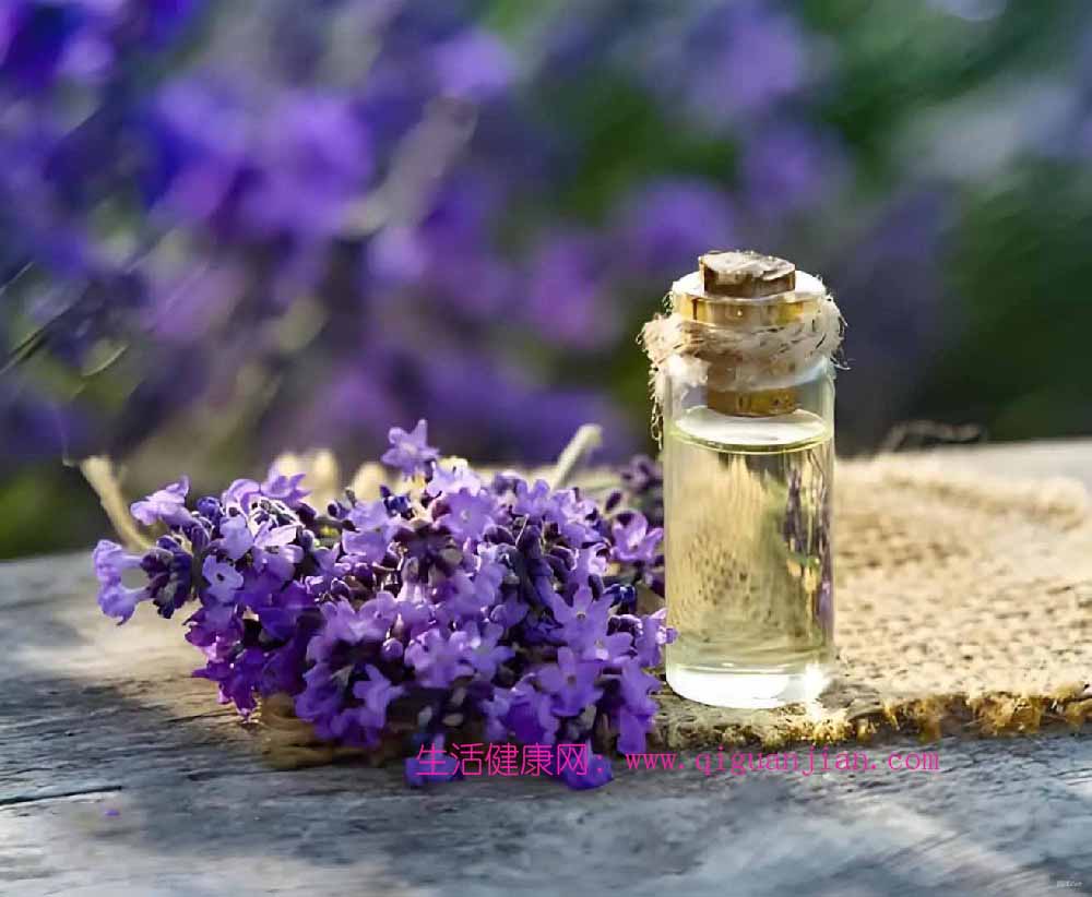 薰衣草（lavender）精油界的“瑞士军刀”
