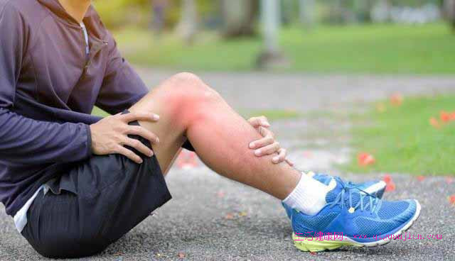 养：六十岁后的健康核心，是“稳”住身体的节奏