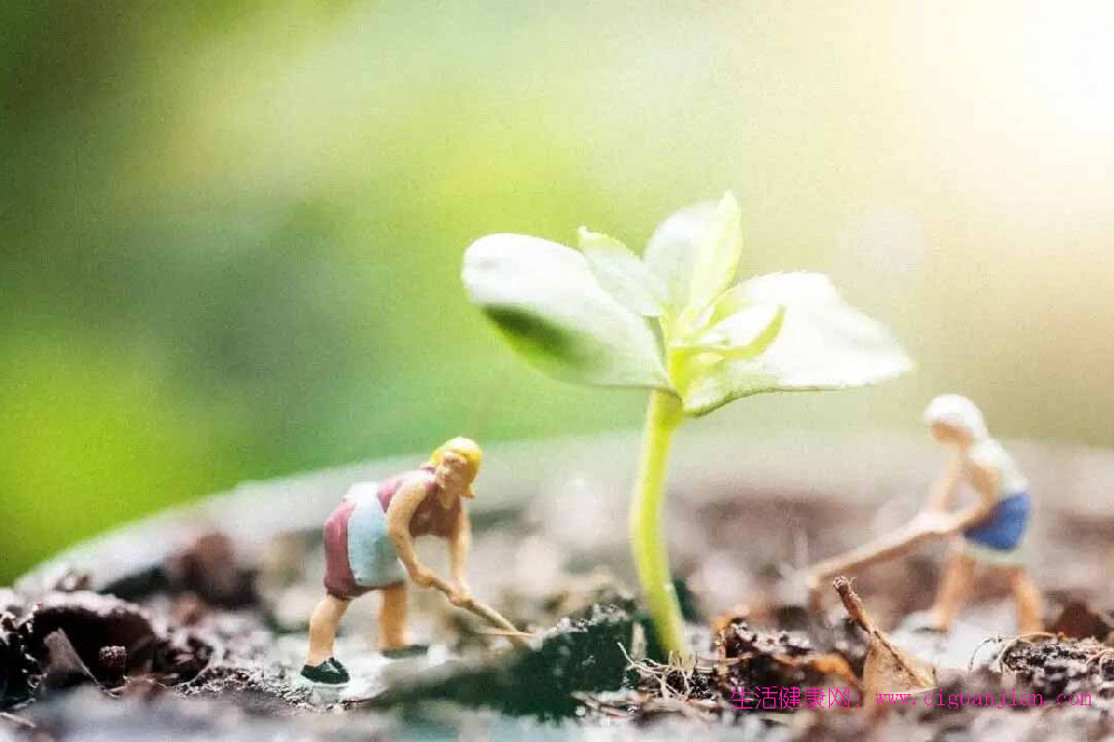 成年人别躺平!7个成长法则,让你持续成为更好的自己