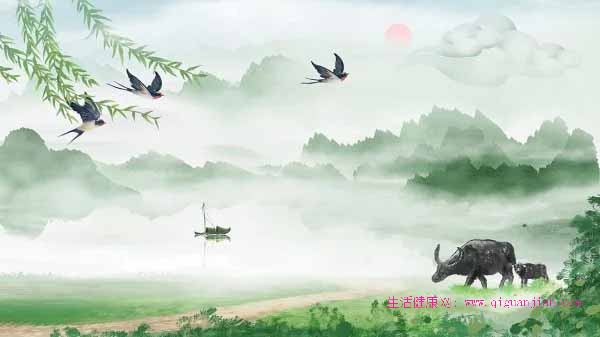 清明养生避3坑!顺时调气,祛湿养肝迎好气色