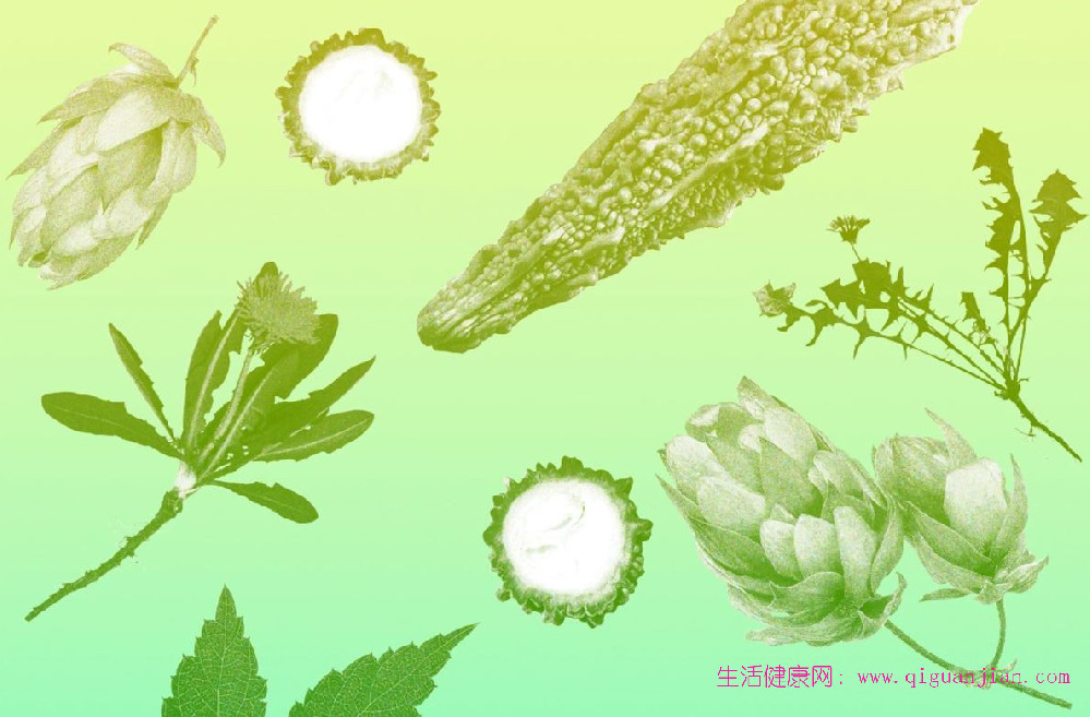 苦味食物有益健康，食品健康视角下的正确食用指南