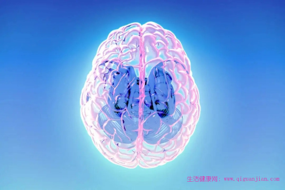 大脑垃圾清运系统堵塞易诱发失智?做好两点守护大脑健康